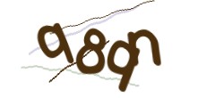 Identifying code