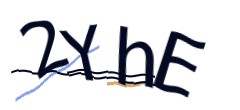 Identifying code
