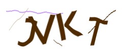 Identifying code