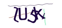 Identifying code