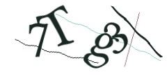 Identifying code