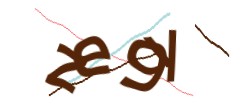 Identifying code