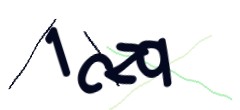Identifying code