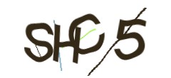 Identifying code