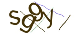 Identifying code