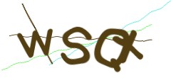 Identifying code