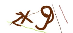 Identifying code