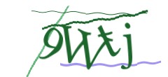 Identifying code