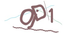 Identifying code