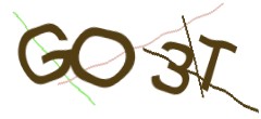 Identifying code