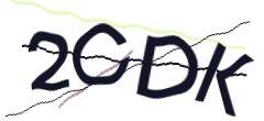 Identifying code