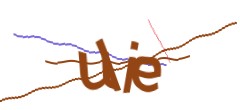 Identifying code