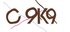 Identifying code