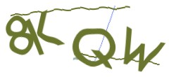 Identifying code