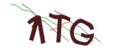 Identifying code