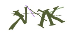 Identifying code