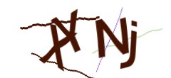 Identifying code
