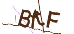 Identifying code