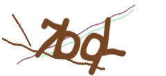 Identifying code