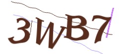 Identifying code