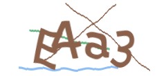 Identifying code
