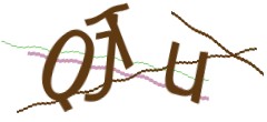 Identifying code