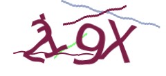 Identifying code