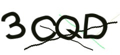 Identifying code