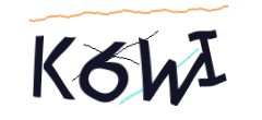 Identifying code