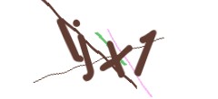 Identifying code