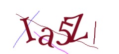 Identifying code