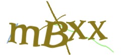 Identifying code