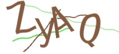 Identifying code