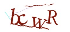 Identifying code