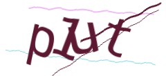 Identifying code
