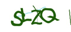 Identifying code