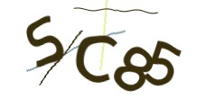 Identifying code