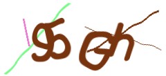 Identifying code