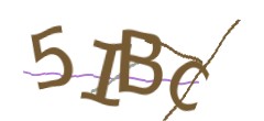 Identifying code