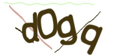 Identifying code