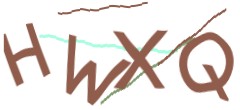 Identifying code