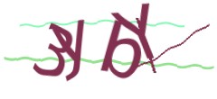 Identifying code
