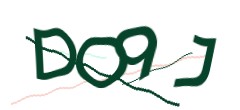 Identifying code