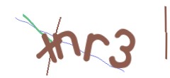Identifying code