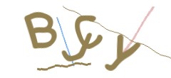 Identifying code