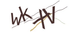 Identifying code