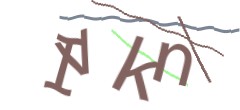 Identifying code