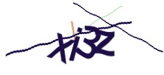 Identifying code