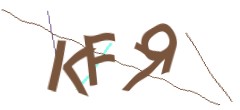 Identifying code