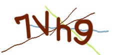 Identifying code